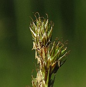 IMG_4034