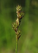 IMG_4036