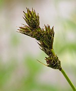 IMG_6473