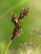 IMG_6474