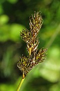 IMG_7221