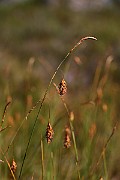 IMG_0053