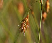 IMG_0055
