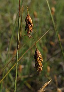 IMG_4551