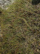 IMG_4557
