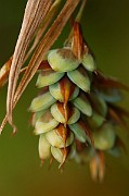 IMG_0602