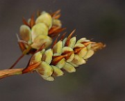 IMG_0605