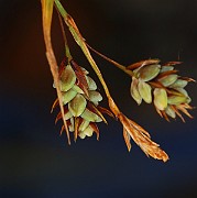 IMG_0608