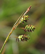IMG_6643
