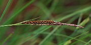 IMG_0718