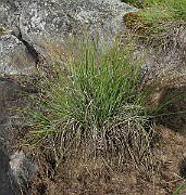 IMG_4602