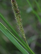 IMG_2610