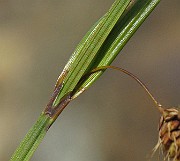 IMG_4614