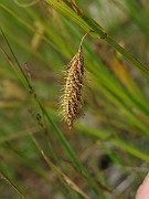 IMG_6767
