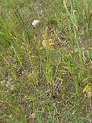 IMG_6768