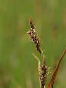 IMG_6771