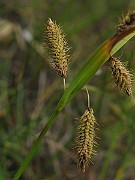 IMG_6772