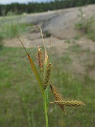 IMG_6776