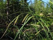 IMG_8207