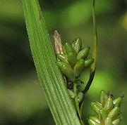 IMG_3345