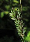 IMG_3353