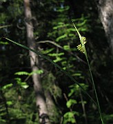IMG_3354