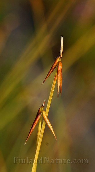IMG_1400.JPG
