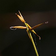 IMG_0060
