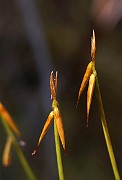 IMG_0068