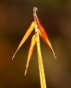 IMG_1397