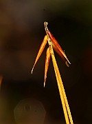 IMG_1398