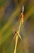IMG_1399