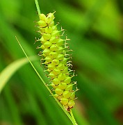 IMG_0008