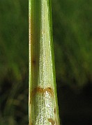IMG_3846