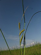 IMG_3851