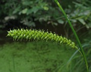 IMG_4119