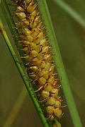 IMG_1453