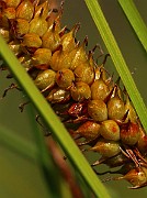 IMG_1454