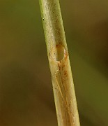 IMG_1462