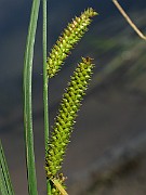 IMG_7159