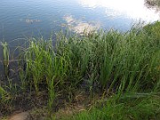 IMG_7163