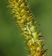 IMG_7622