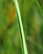 IMG_7666