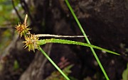 IMG_3651