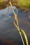 IMG_0576