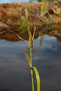 IMG_0577