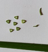 IMG_7183