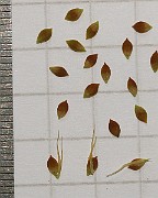 IMG_7187