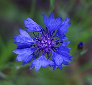 IMG_6883