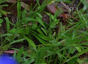 IMG_6885